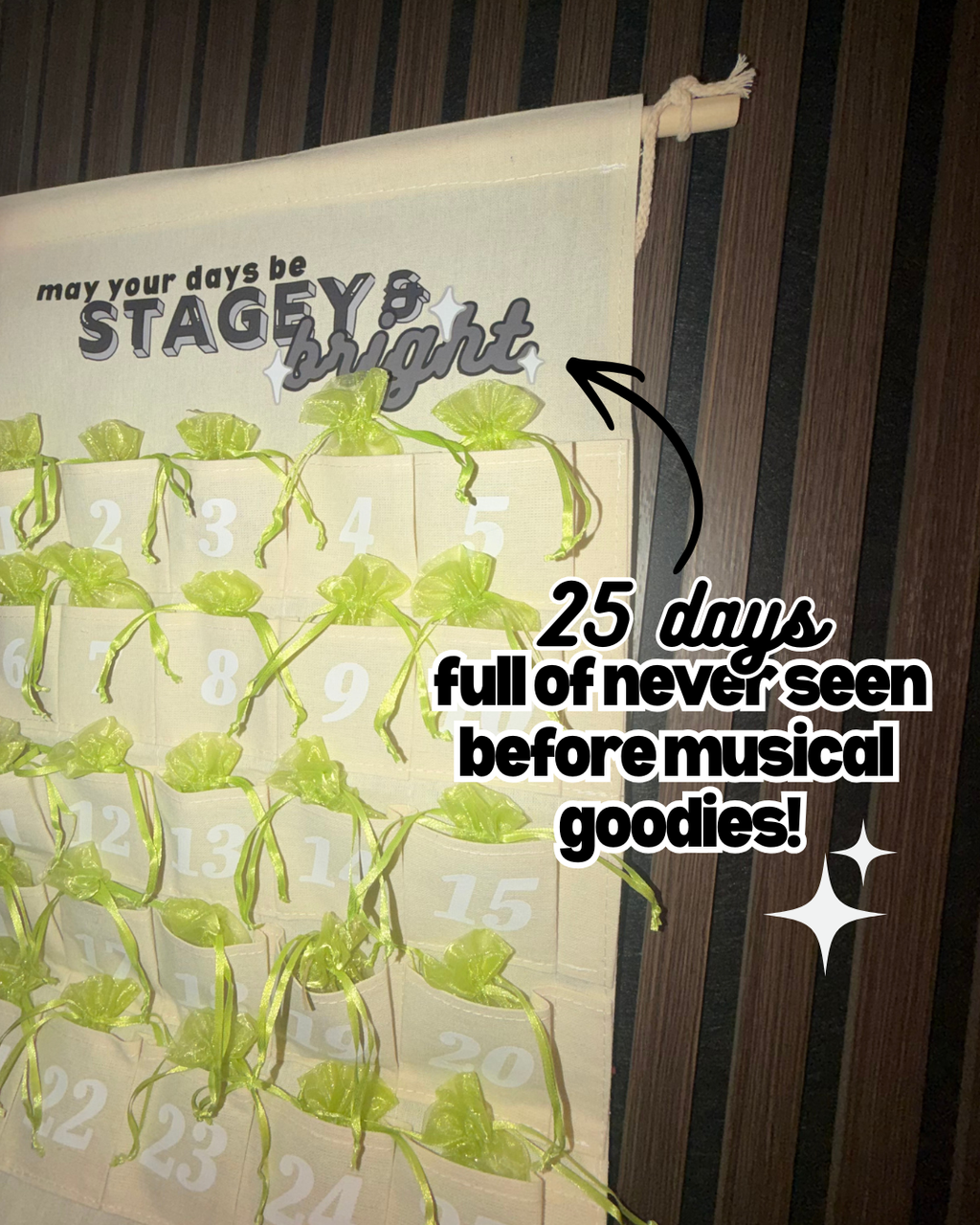 PREORDER - 25 Day "Stagey and Bright" Advent Calendar and Refills